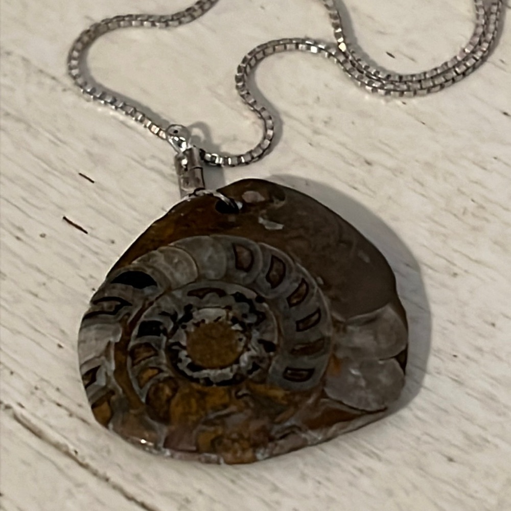 Antique shell fossil pendant on sterling silver Italy 925 box chain necklace 18”